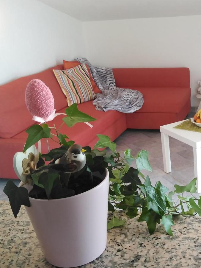 Apartments Nina Ravni Cameră foto