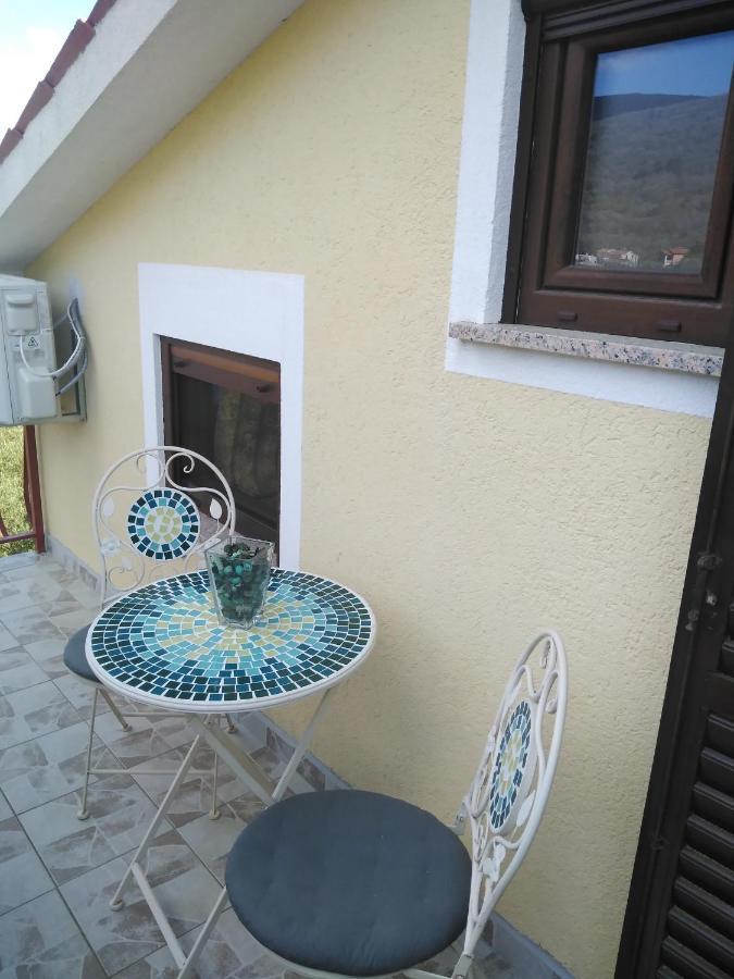 Apartments Nina Ravni Cameră foto